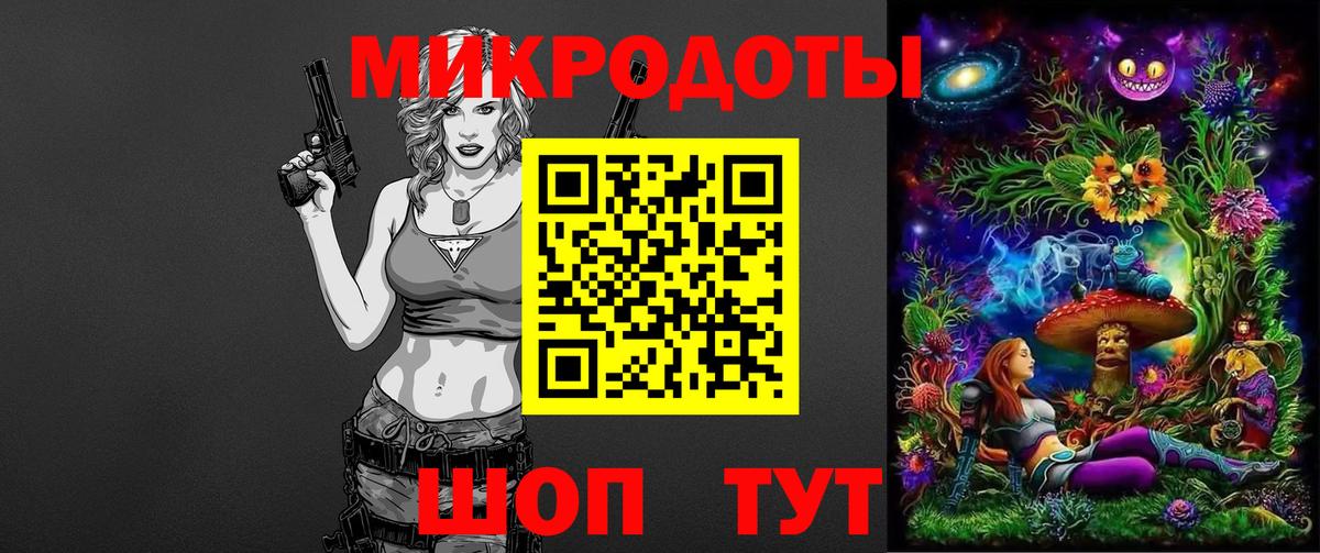 Псилоцибиновые грибы Psilocybine cubensis Нарьян-Мар