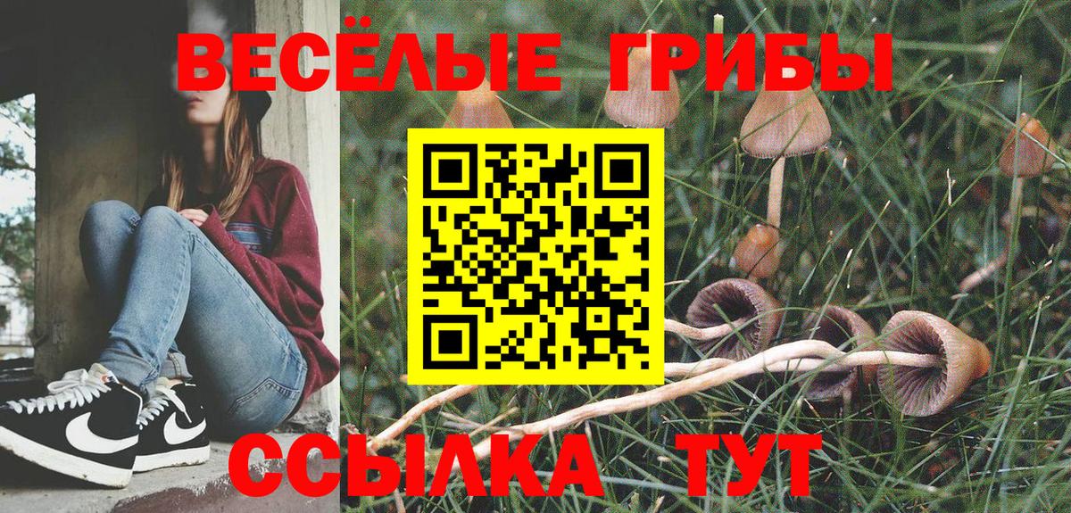 Галлюциногенные грибы мухоморы  Вход с VPN  Нарьян-Мар 